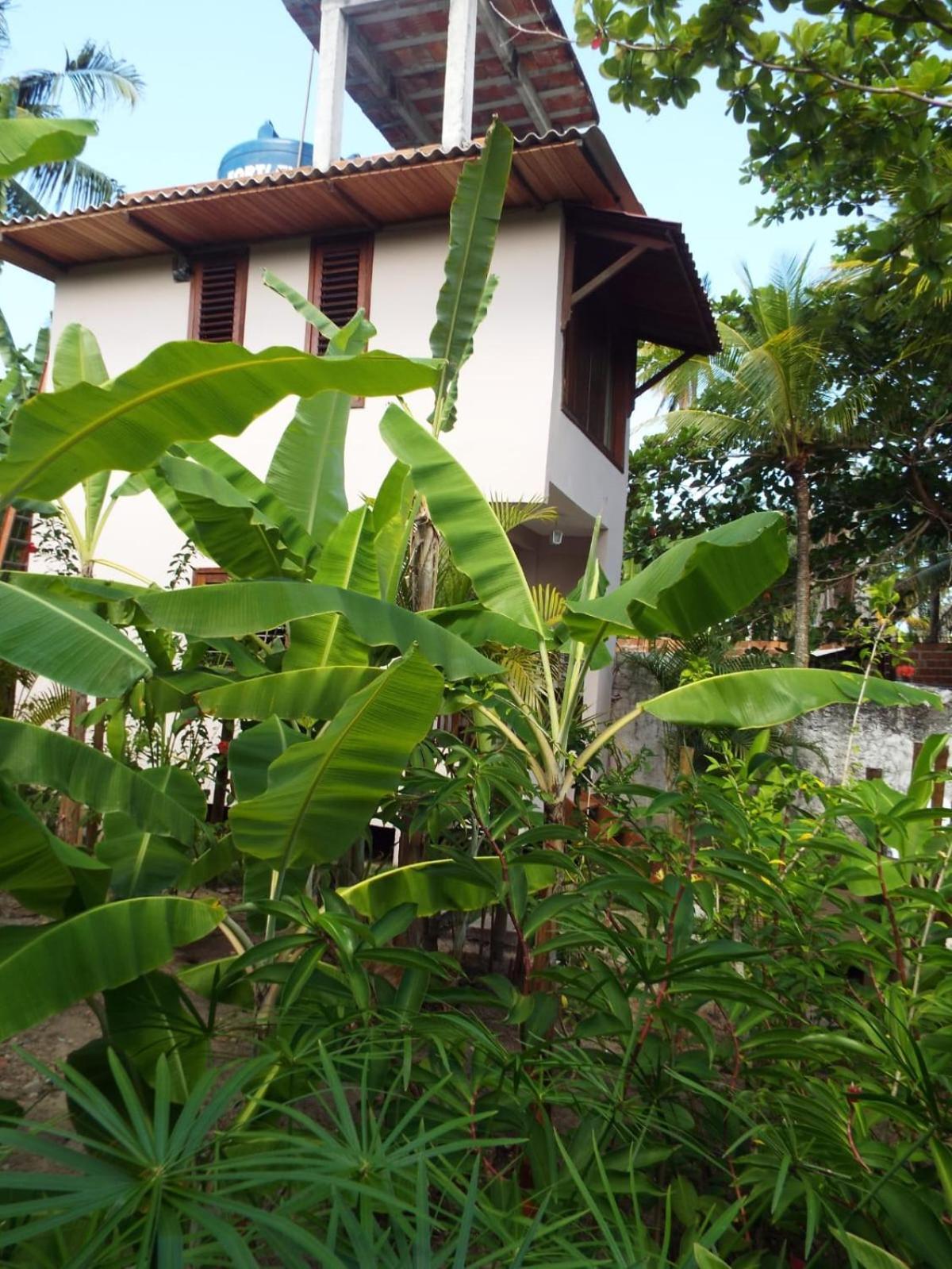 Jardim Uixa Villa Velha Boipeba Eksteriør bilde